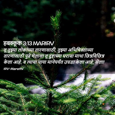 Picture 02 - हबक्कूक 3:13 MARIRV - तू तुझ्या - Bible Verse Picture