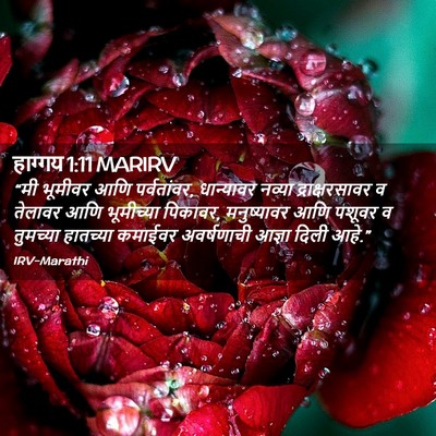 Picture 02 - हाग्गय 1:11 MARIRV - “मी भूमीवर आणि - Bible Verse Picture