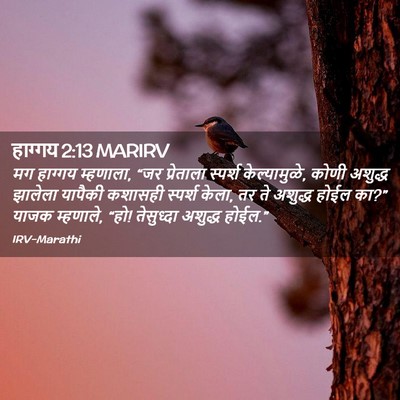 Picture 02 - हाग्गय 2:13 MARIRV - मग हाग्गय म्हणाला, - Bible Verse Picture