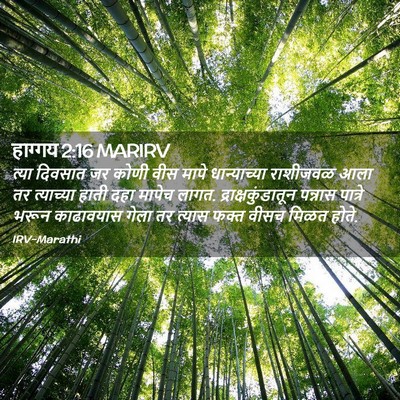 Picture 02 - हाग्गय 2:16 MARIRV - त्या दिवसात जर - Bible Verse Picture
