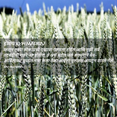 Picture 02 - होशेय 10:14 MARIRV - म्हणून तुझ्या - Bible Verse Picture