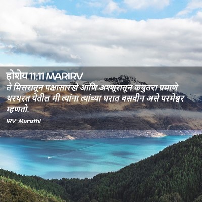 Picture 02 - होशेय 11:11 MARIRV - ते मिसरातून - Bible Verse Picture
