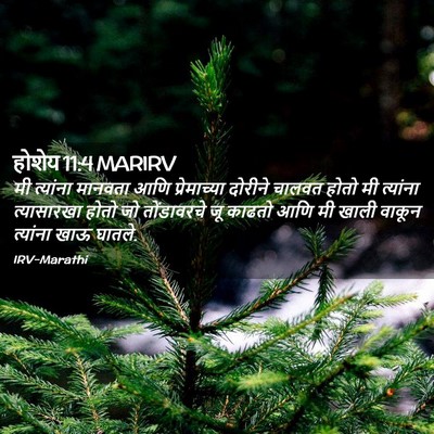 Picture 02 - होशेय 11:4 MARIRV - मी त्यांना मानवता - Bible Verse Picture