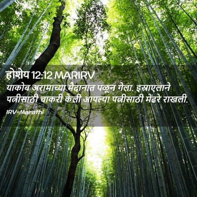 Picture 02 - होशेय 12:12 MARIRV - याकोब अरामाच्या - Bible Verse Picture