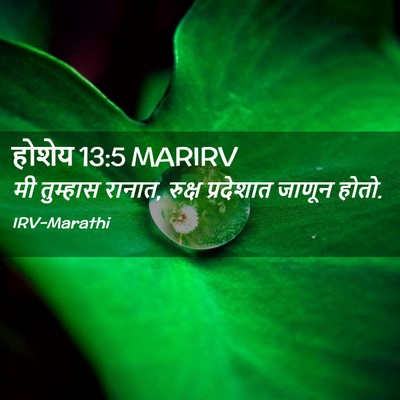 Picture 02 - होशेय 13:5 MARIRV - मी तुम्हास रानात, - Bible Verse Picture