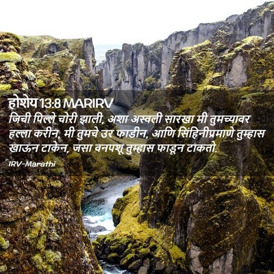 Picture 02 - होशेय 13:8 MARIRV - जिची पिल्ले चोरी - Bible Verse Picture