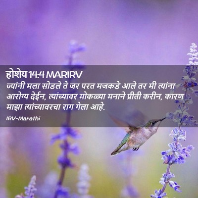 Picture 02 - होशेय 14:4 MARIRV - ज्यांनी मला सोडले - Bible Verse Picture