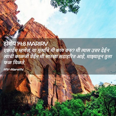 Picture 02 - होशेय 14:8 MARIRV - एफ्राईम म्हणेल, या - Bible Verse Picture