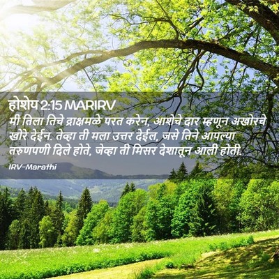 Picture 02 - होशेय 2:15 MARIRV - मी तिला तिचे - Bible Verse Picture