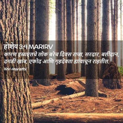 Picture 02 - होशेय 3:4 MARIRV - कारण इस्राएलचे - Bible Verse Picture