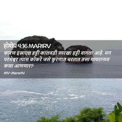 Picture 02 - होशेय 4:16 MARIRV - कारण इस्राएल - Bible Verse Picture