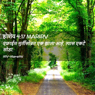Picture 02 - होशेय 4:17 MARIRV - एफ्राईम - Bible Verse Picture