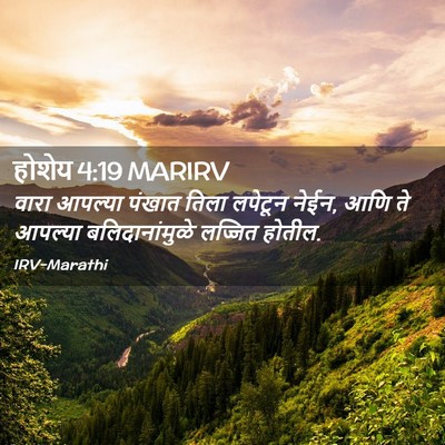 Picture 02 - होशेय 4:19 MARIRV - वारा आपल्या पंखात - Bible Verse Picture