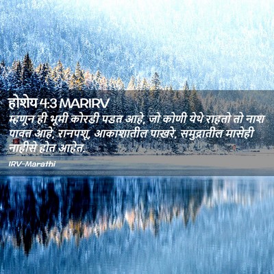 Picture 02 - होशेय 4:3 MARIRV - म्हणून ही भूमी - Bible Verse Picture