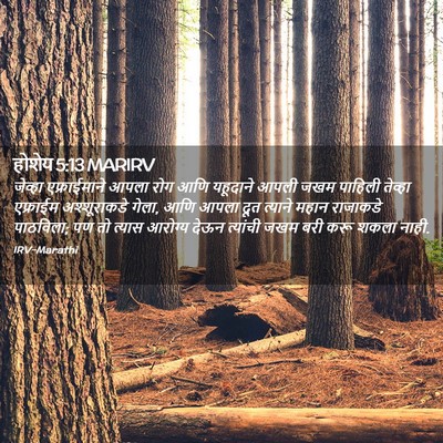 Picture 02 - होशेय 5:13 MARIRV - जेव्हा एफ्राईमाने - Bible Verse Picture