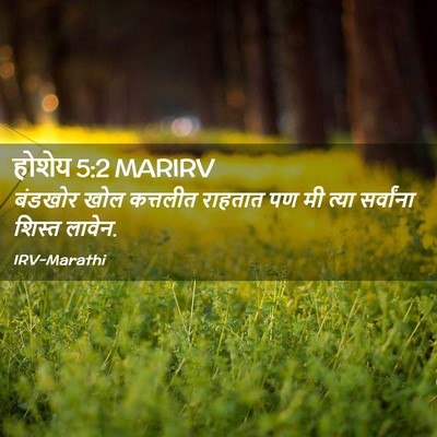 Picture 02 - होशेय 5:2 MARIRV - बंडखोर खोल - Bible Verse Picture