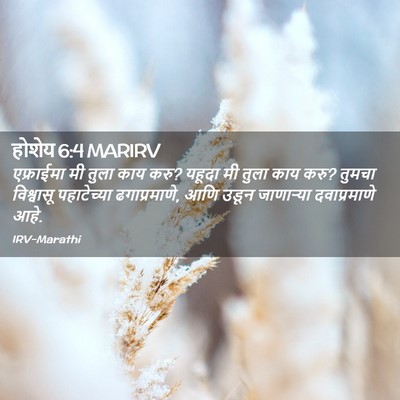 Picture 02 - होशेय 6:4 MARIRV - एफ्राईमा मी तुला - Bible Verse Picture