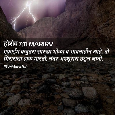 Picture 02 - होशेय 7:11 MARIRV - एफ्राईम कबुतरा - Bible Verse Picture