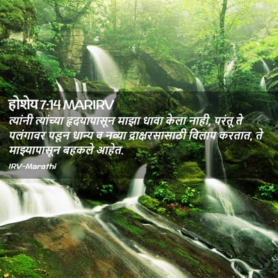 Picture 02 - होशेय 7:14 MARIRV - त्यांनी त्यांच्या - Bible Verse Picture