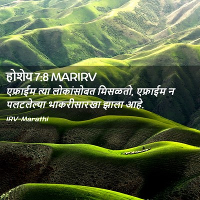 Picture 02 - होशेय 7:8 MARIRV - एफ्राईम त्या - Bible Verse Picture