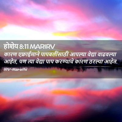 Picture 02 - होशेय 8:11 MARIRV - कारण एफ्राईमाने - Bible Verse Picture