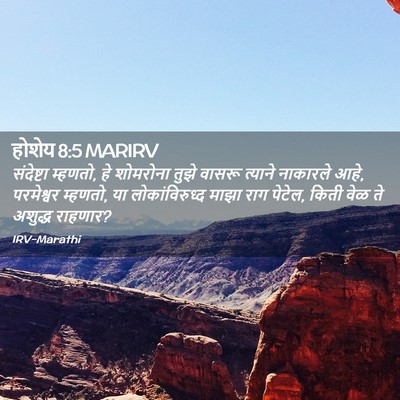 Picture 02 - होशेय 8:5 MARIRV - संदेष्टा म्हणतो, - Bible Verse Picture