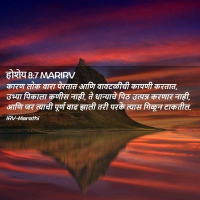 Picture 02 - होशेय 8:7 MARIRV - कारण लोक वारा - Bible Verse Picture
