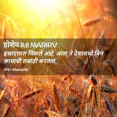 Picture 02 - होशेय 8:8 MARIRV - इस्राएलास गिळले - Bible Verse Picture