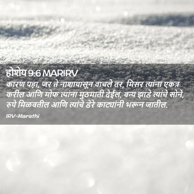 Picture 02 - होशेय 9:6 MARIRV - कारण पहा, जर ते - Bible Verse Picture