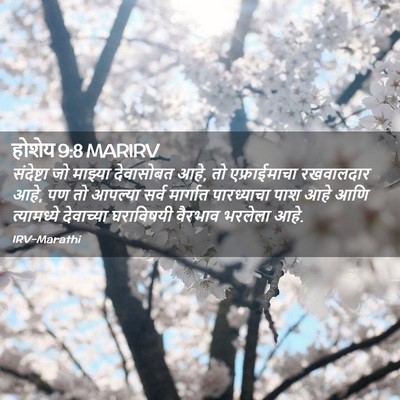 Picture 02 - होशेय 9:8 MARIRV - संदेष्टा जो - Bible Verse Picture