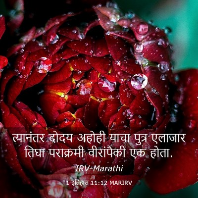 Picture 03 - 1 इतिहास 11:12 MARIRV - त्यानंतर दोदय - Bible Verse Picture