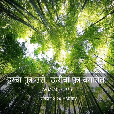 Picture 03 - 1 इतिहास 2:20 MARIRV - हूरचा पुत्र उरी. - Bible Verse Picture