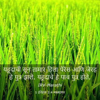 Picture 03 - 1 इतिहास 2:4 MARIRV - यहूदाची सून तामार - Bible Verse Picture
