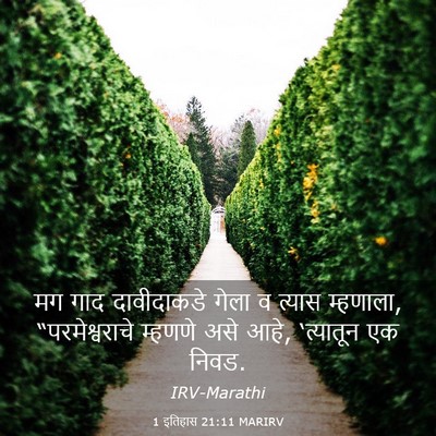 Picture 03 - 1 इतिहास 21:11 MARIRV - मग गाद दावीदाकडे - Bible Verse Picture