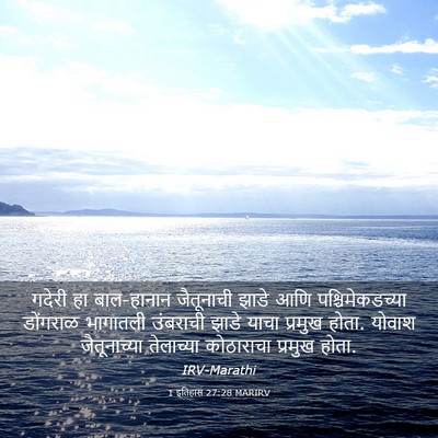 Picture 03 - 1 इतिहास 27:28 MARIRV - गदेरी हा बाल-हानान - Bible Verse Picture