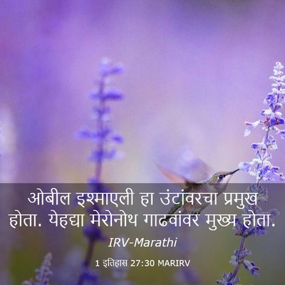Picture 03 - 1 इतिहास 27:30 MARIRV - ओबील इश्माएली हा - Bible Verse Picture
