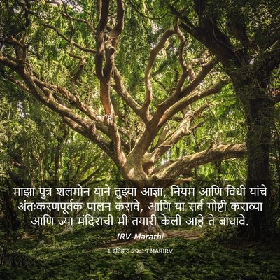 Picture 03 - 1 इतिहास 29:19 MARIRV - माझा पुत्र शलमोन - Bible Verse Picture