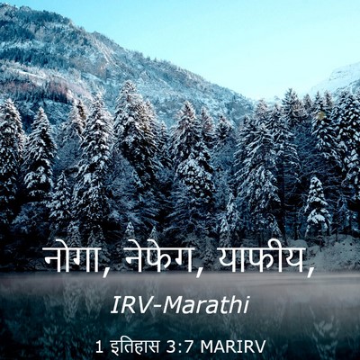 Picture 03 - 1 इतिहास 3:7 MARIRV - नोगा, नेफेग, - Bible Verse Picture