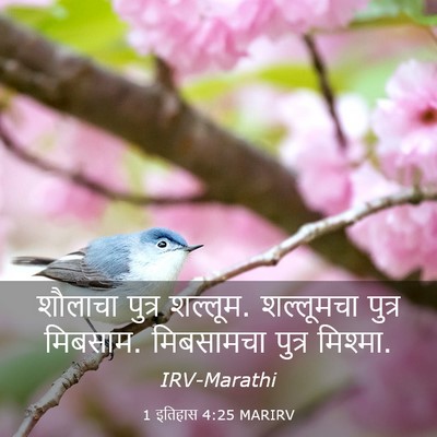 Picture 03 - 1 इतिहास 4:25 MARIRV - शौलाचा पुत्र - Bible Verse Picture