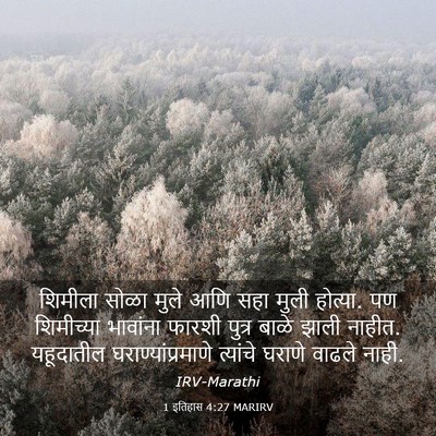 Picture 03 - 1 इतिहास 4:27 MARIRV - शिमीला सोळा मुले - Bible Verse Picture
