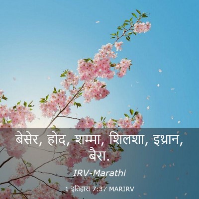 Picture 03 - 1 इतिहास 7:37 MARIRV - बेसेर, होद, शम्मा, - Bible Verse Picture