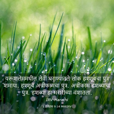 Picture 03 - 1 इतिहास 9:14 MARIRV - यरूशलेममधील लेवी - Bible Verse Picture