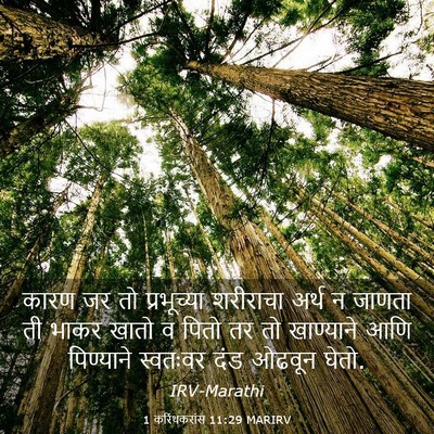 Picture 03 - 1 करिंथकरांस 11:29 MARIRV - कारण जर तो - Bible Verse Picture
