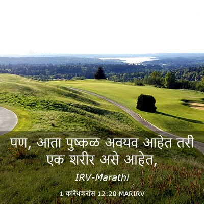 Picture 03 - 1 करिंथकरांस 12:20 MARIRV - पण, आता पुष्कळ अवयव - Bible Verse Picture