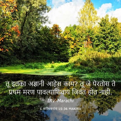 Picture 03 - 1 करिंथकरांस 15:36 MARIRV - तू इतका अज्ञानी - Bible Verse Picture