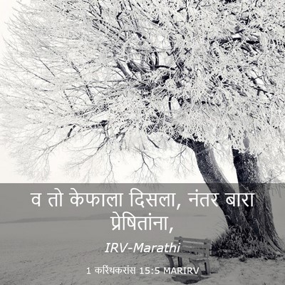 Picture 03 - 1 करिंथकरांस 15:5 MARIRV - व तो केफाला दिसला, - Bible Verse Picture