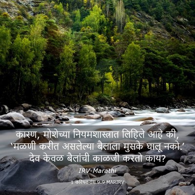 Picture 03 - 1 करिंथकरांस 9:9 MARIRV - कारण, मोशेच्या - Bible Verse Picture