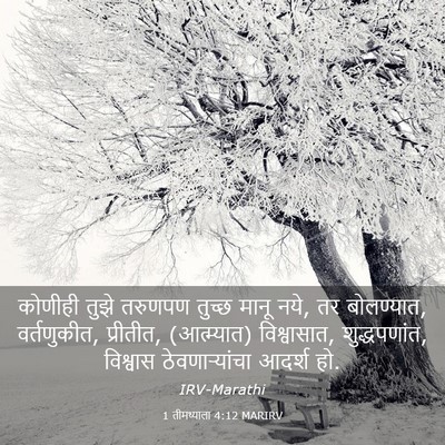 Picture 03 - 1 तीमथ्याला 4:12 MARIRV - कोणीही तुझे - Bible Verse Picture
