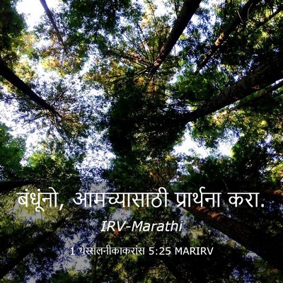 Picture 03 - 1 थेस्सलनीकाकरांस 5:25 MARIRV - बंधूंनो, - Bible Verse Picture