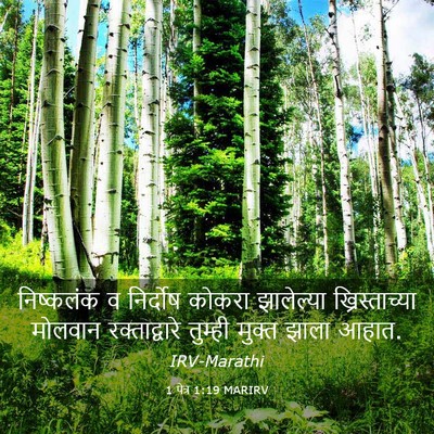 Picture 03 - 1 पेत्र 1:19 MARIRV - निष्कलंक व - Bible Verse Picture